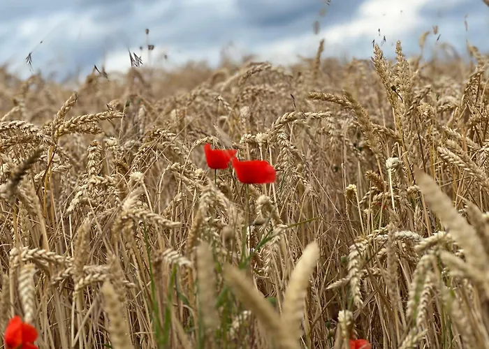 Apartamento Fewo-karitz *